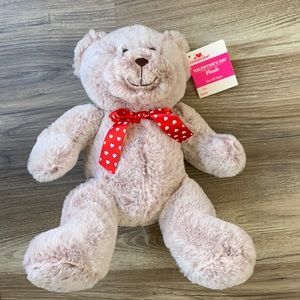 Valentine Holiday Teddy Bear new